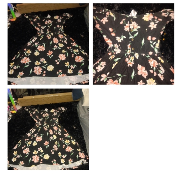 Everything - Picture 13 of 13